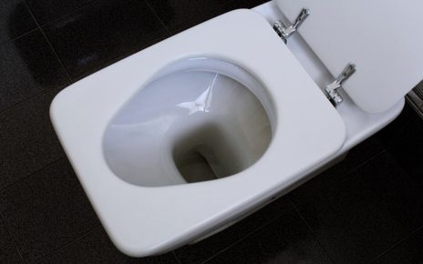 Unclog a Toilet