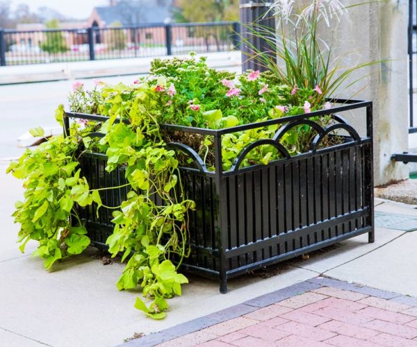 Steel Square Planter with Liner and Drain Holes