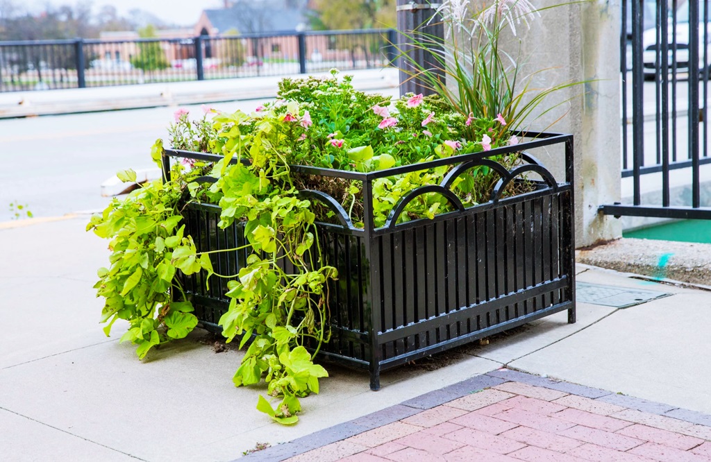 4 Expert Tips for Perfect Planter Drainage Drain Service