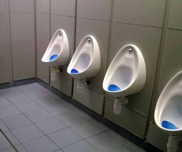Urinal Screen